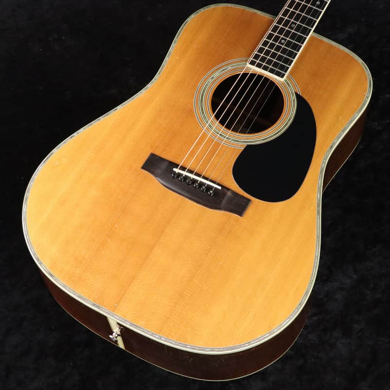 Yairi YW-500P