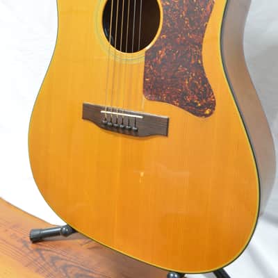 1976 Gibson J-55 American Made Acoustic Electric image 3