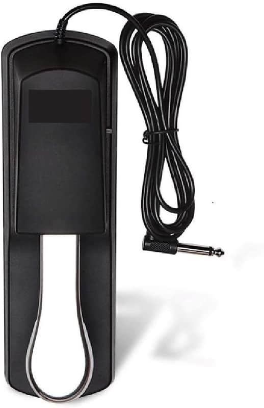 Sustain Pedal for Keyboard Digital Piano Universal Sustain Pedal Foot Damper Pedal image 1