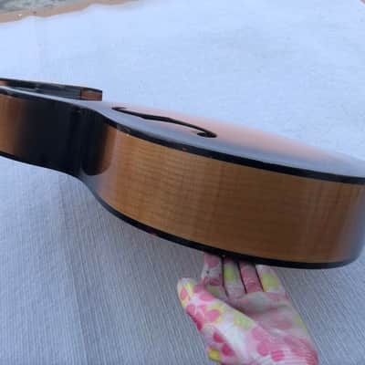 Hofner HCT-SL Hollow Body Jazz Guitar, Rosewood Fingerboard Neck image 6