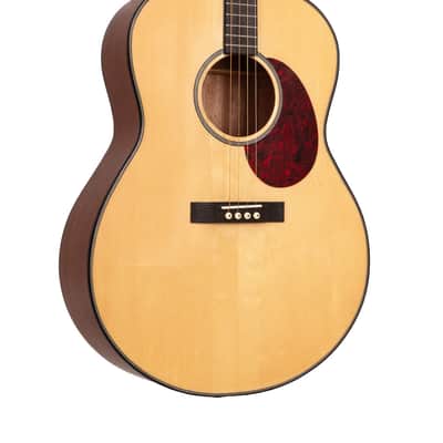 Gold Tone TG-18 Mastertone Tenor Guitar with Bag image 1