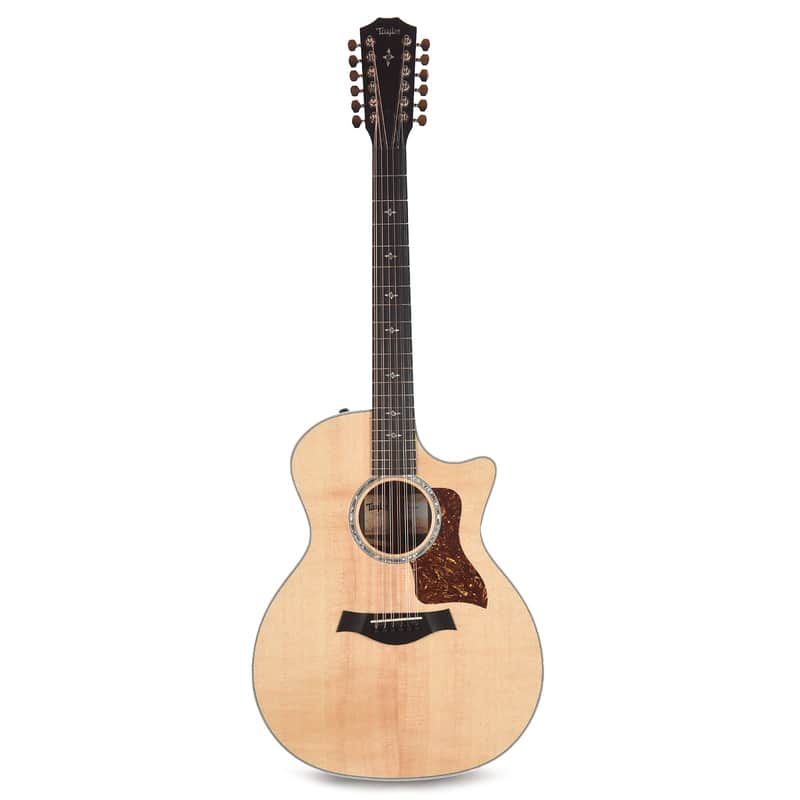 Taylor 454ce image 1