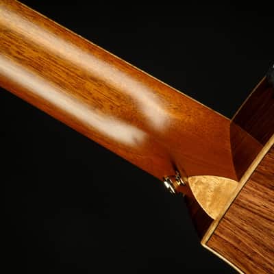 2023 - Taylor Custom GA - Honduran Rosewood/Adirondack image 10