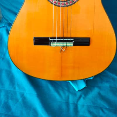 Javier Castano 2019 image 7