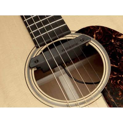 Fishman PRO-REP-101 Rare Earth simple bobinage pour rosace image 4