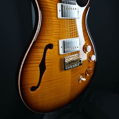 PRS DGT Semi-Hollow w/ Birds 10-Top McCarty Tobacco Sunburst #495 image 11