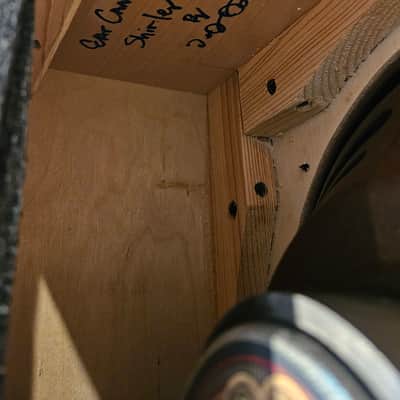 EarCandy Shirley 20W 1x12 Compact With Warehouse Speaker image 6