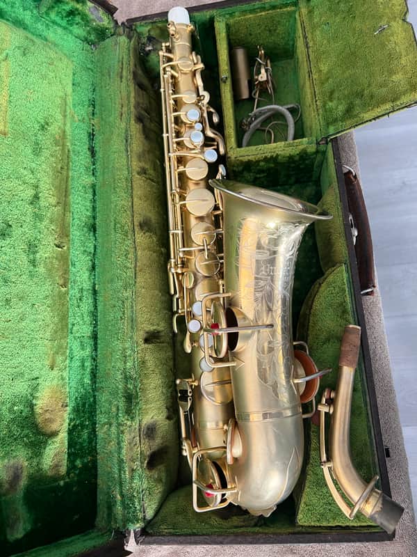 Buescher True Tone Alto Saxophone 1924 - Gold image 1