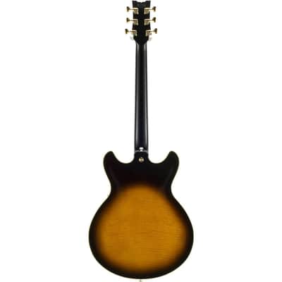 Ibanez John Scofield Signature JSM100 Hollow-Body Electric Guitar, Bound Ebony Fretboard, Vintage Sunburst image 18