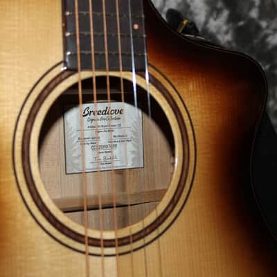 2023 Breedlove - Organic Artista Pro Concert - Gloss Burnt Amber image 2