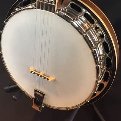 Tyler Mountain TM-800  Pro Model 5-String Banjo w/ Hardshell Case image 4