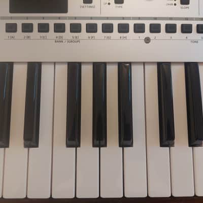 Roland Gaia 2 37-Key 22-Voice Synthesizer 2023 - Present - Silver image 12