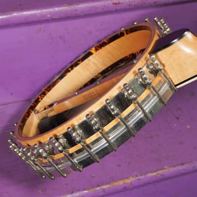 2010s Eastman Whyte Laydie-Style 5-String Openback Banjo (VIDEO! Fresh Work, Ready) image 18