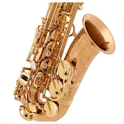 Yanagisawa A-WO20 Alto Saxophone image 4