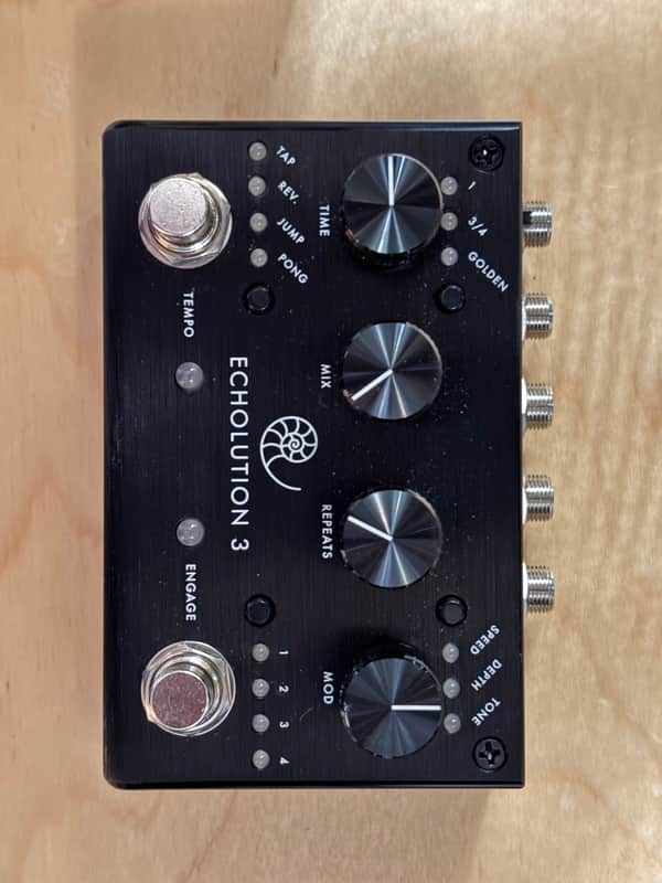 Pigtronix Echolution 3