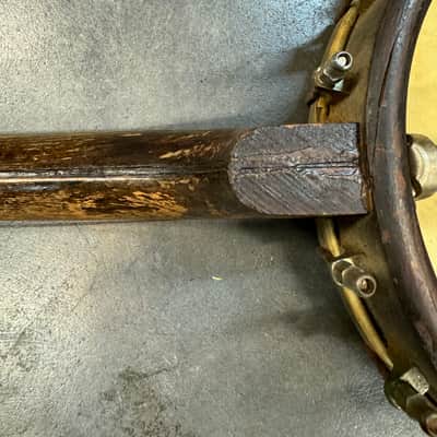 Slingerland May Bell tenor banjo project 1920’s image 7