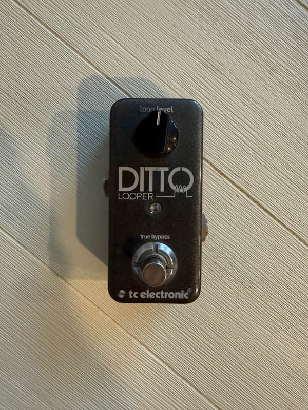 TC Electronic Ditto Looper image 1