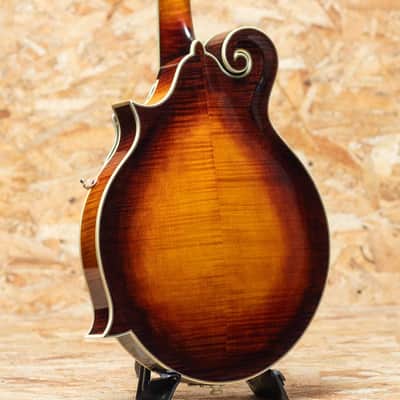 Iwashita Mandolins&Guitars F 5 2024 image 2