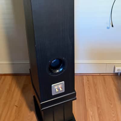 Tyler Acoustic D2X Mastering Studio Monitors image 8