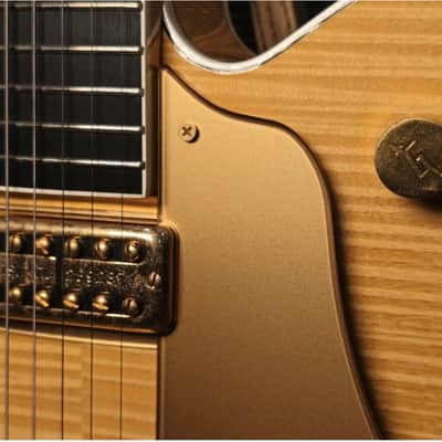 Gretsch 6120AM 2004 Made in Japan image 5