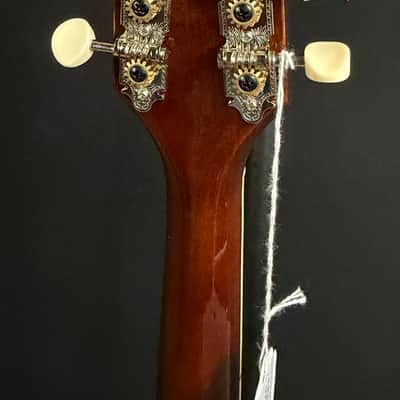 Kentucky KM-256 Artist Deluxe A-Style Mandolin Transparent Brown w/ Gig Bag image 10