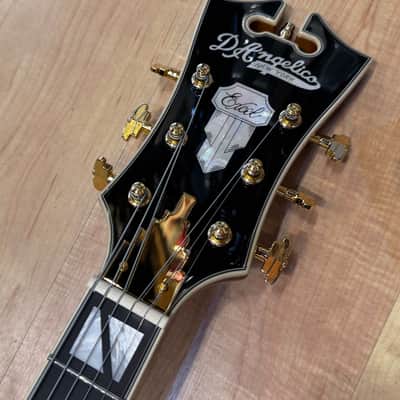 D'Angelico Excel Series EXL-1 Archtop Electric Hollow-Body Jazz Guitar with Humbucker Pickup Iced Tea Burst image 9