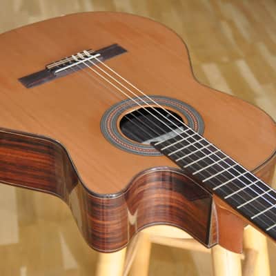 KREMONA F65CW48 Fiesta 65 CW / Crossover Nylon Electro / Performer Series / Made in Europe / 25-050-8-03 imagen 5