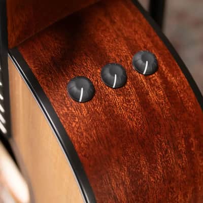 Taylor 314ce Left-Handed Grand Auditorium Acoustic/Electric Guitar with Hardshell Case image 9