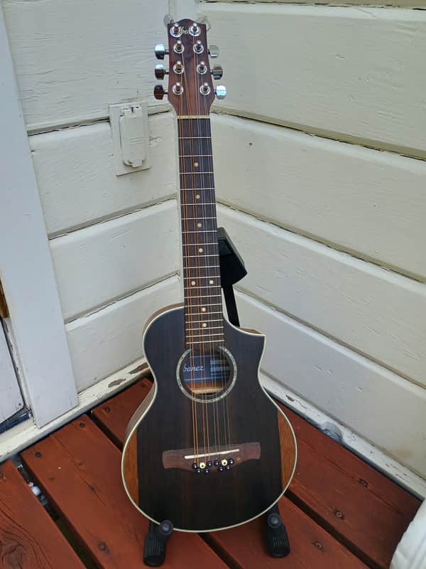 Mandola/Octave Mandolin Converted, 17" scale, Ibanez EWP13-DBO Piccolo Guitar image 1