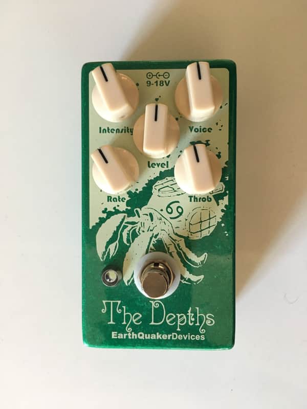Earthquaker Devices The Depths Owned by Eric Cannata of Young The Giant image 1