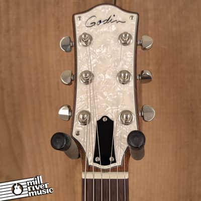 Godin Radiator Electric Guitar with Gig Bag - Used image 3