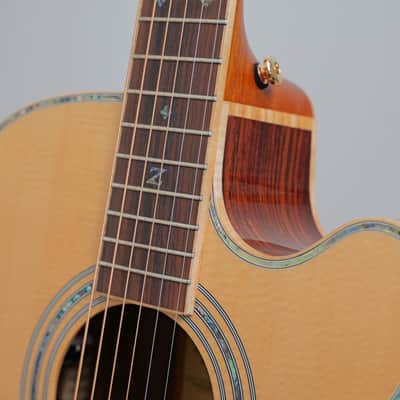 Zager ZAD900CE OM Style Acoustic Electric with Fishman Aura Pro Electronics + Case, Extra Strings & Strap image 14