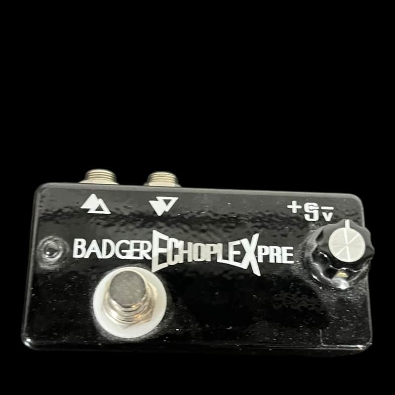 Badger Echoplex PRE Prototype image 1