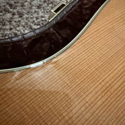 Taylor GS7 2006 - Natural image 8