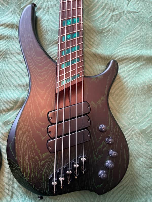Dingwall ABZ 5