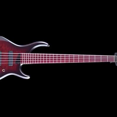 MTD Kingston AG5 Andrew Gouché Signature V2 image 2