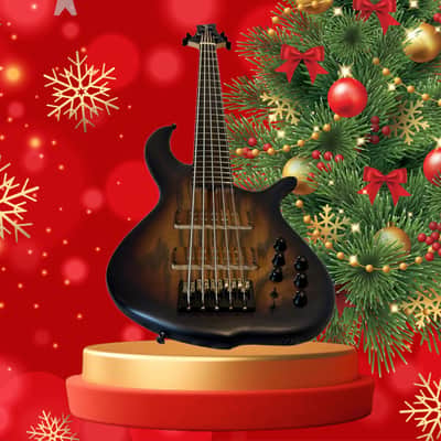 F Bass BN5 DELUXE 2020 - MATTE VARNISH - ANTIQUE BROWN BURST / BLACK GRAIN ENHANCE image 16