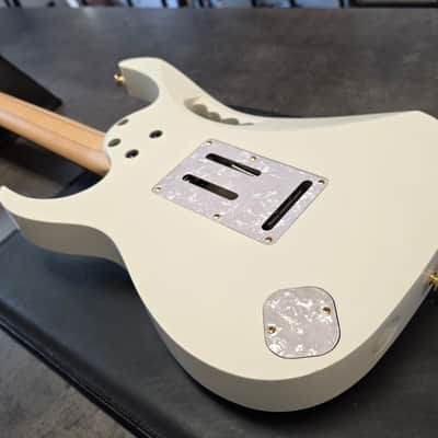 Ibanez JEM-7V TEAM J. CRAFT Prestige Steve Vai Signature 2008 White MIJ Japan JEM7V 7 6 String Pro Artist Guitar CASE QUEEN Tree of Life HSH Scalloped Super Strat image 22