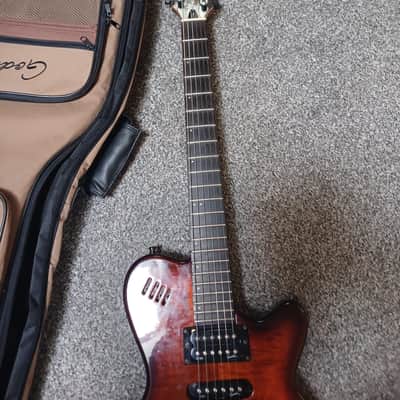 Godin xtSA 2010s - Light Burst image 7
