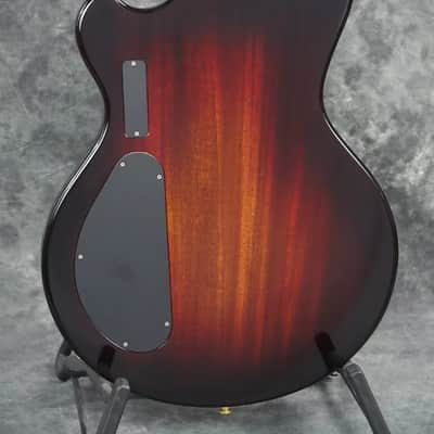 Alembic Skylark 6 String 25.5 inch Long Scale Electric Guitar with Case image 9