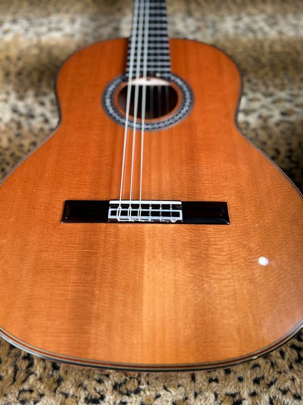 Cordoba C9 Nylon String Acoustic Guitar Natural image 1
