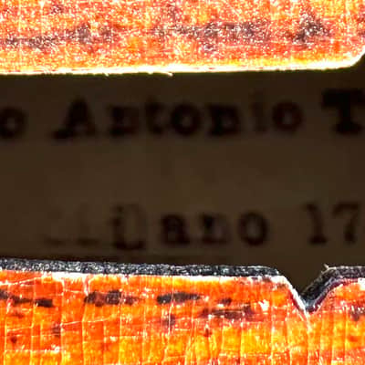 Deep Old Violin labeled “Testore” Czech 4/4 image 5
