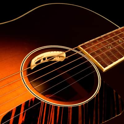 LR Baggs Anthem | Acoustic Guitar Pickup w/ Soundhole Preamp. New with Full Warranty! image 2