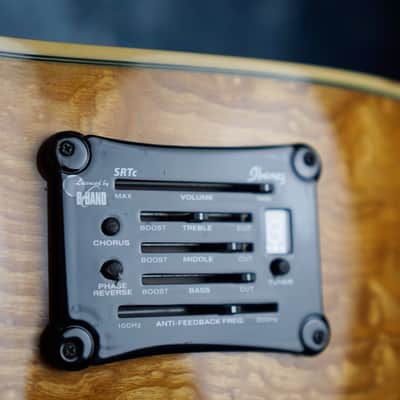 Ibanez EW2012 ASE/NT  Figured Ash 12 String Electro Acoustic image 6