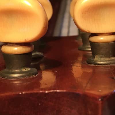 RARE Vintage Weymann Harp Guitar One of a kind(?) Rosewood and Spruce image 12