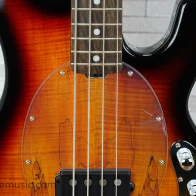 Sterling StingRay Ray34SM - Tone Sunburst image 5