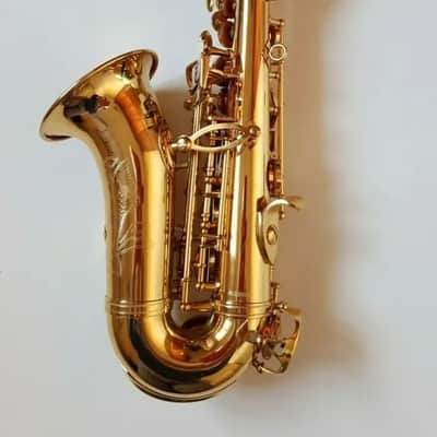 Saxophone Soprano Curved Shape in Bb Gold Finish + Hard Case Chase Outfit~ image 9