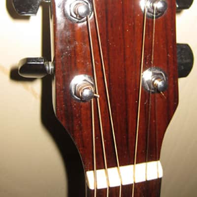 Ibanez PF5-NT-14-02 Acoustic Dreadnought Guitar Bild 3