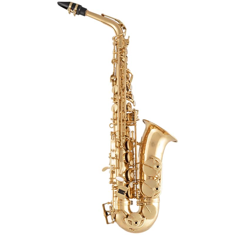 Selmer SAS411 Intermediate Alto Saxophone image 1