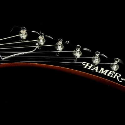Hamer Standard/factory restored refinish 1981 Tobacco Sunburst image 10